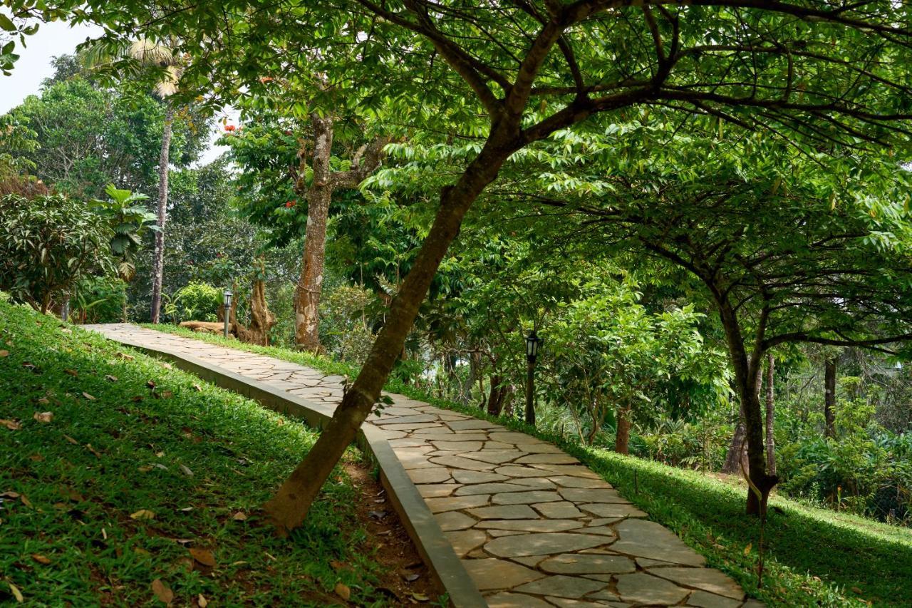 Haze And Kites Resort Munnar Ngoại thất bức ảnh