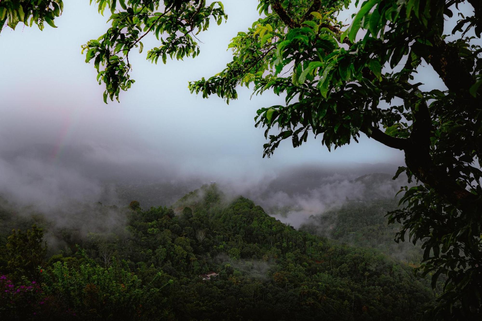 Haze And Kites Resort Munnar Ngoại thất bức ảnh