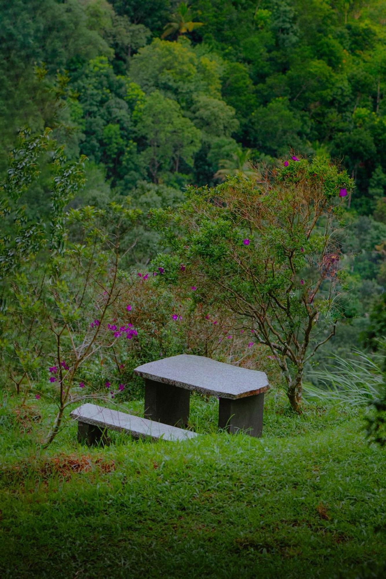 Haze And Kites Resort Munnar Ngoại thất bức ảnh