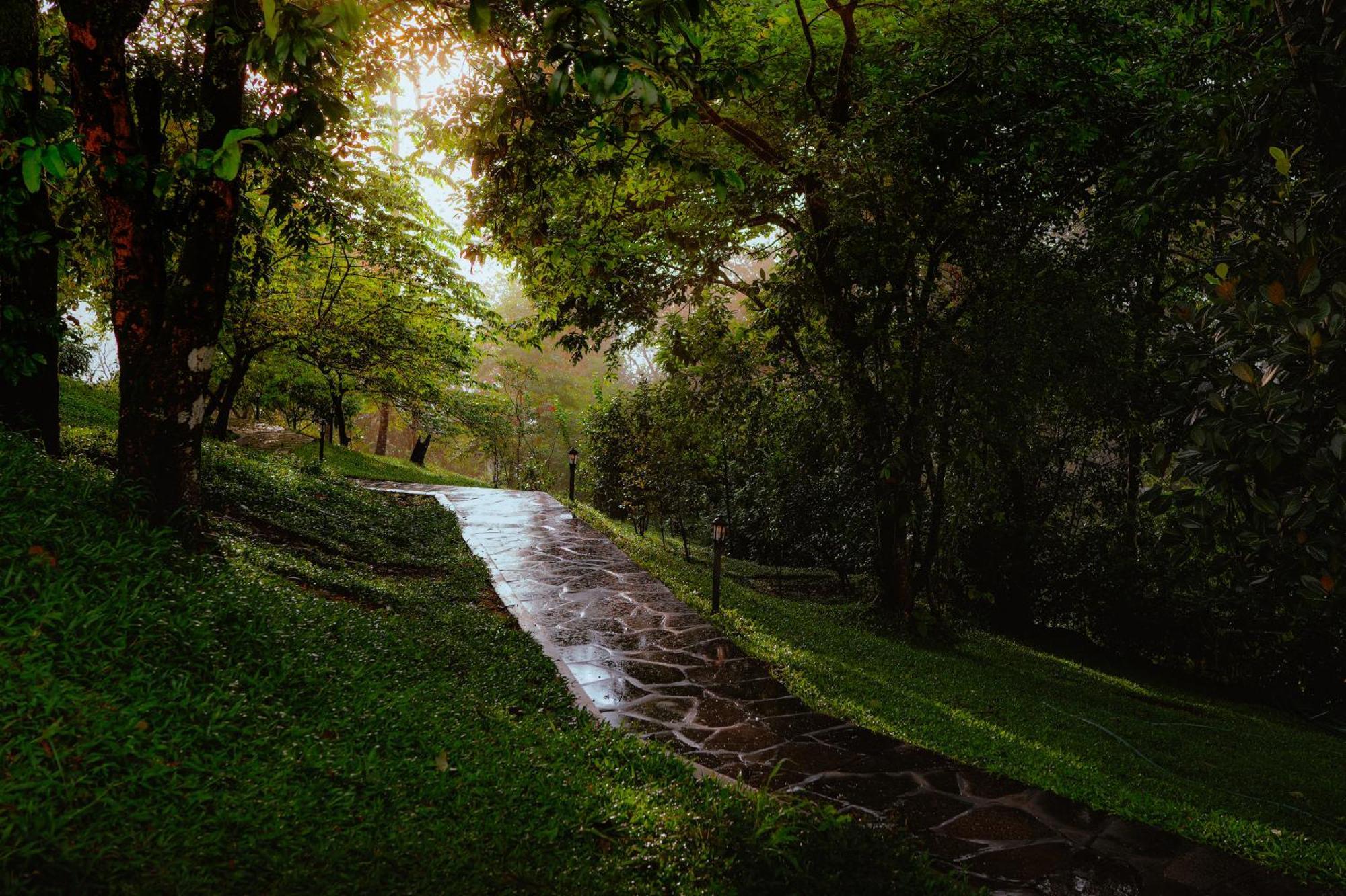 Haze And Kites Resort Munnar Ngoại thất bức ảnh