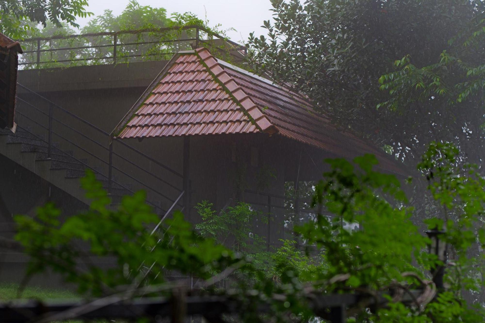 Haze And Kites Resort Munnar Ngoại thất bức ảnh